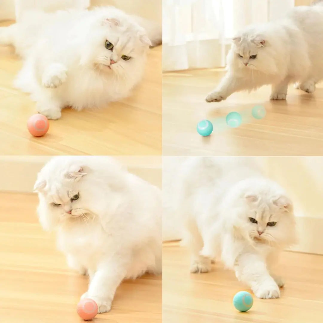 Purrfect Playball - Zelf Rollende Bal